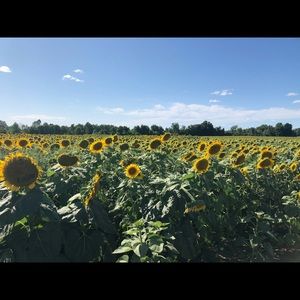 Meet your Posher, Tara